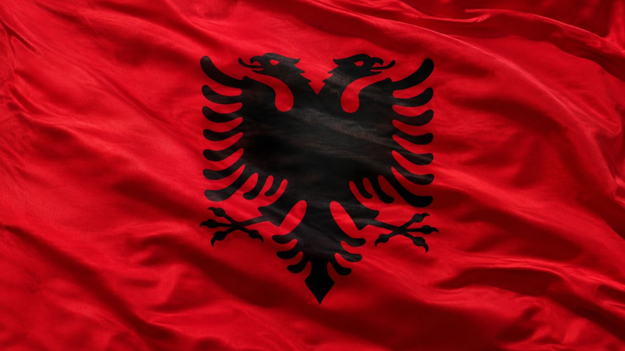 Domain Hosting for Business in Albania