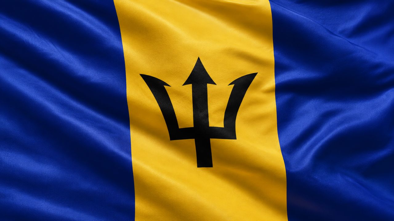 Domain Hosting for Business in Barbados