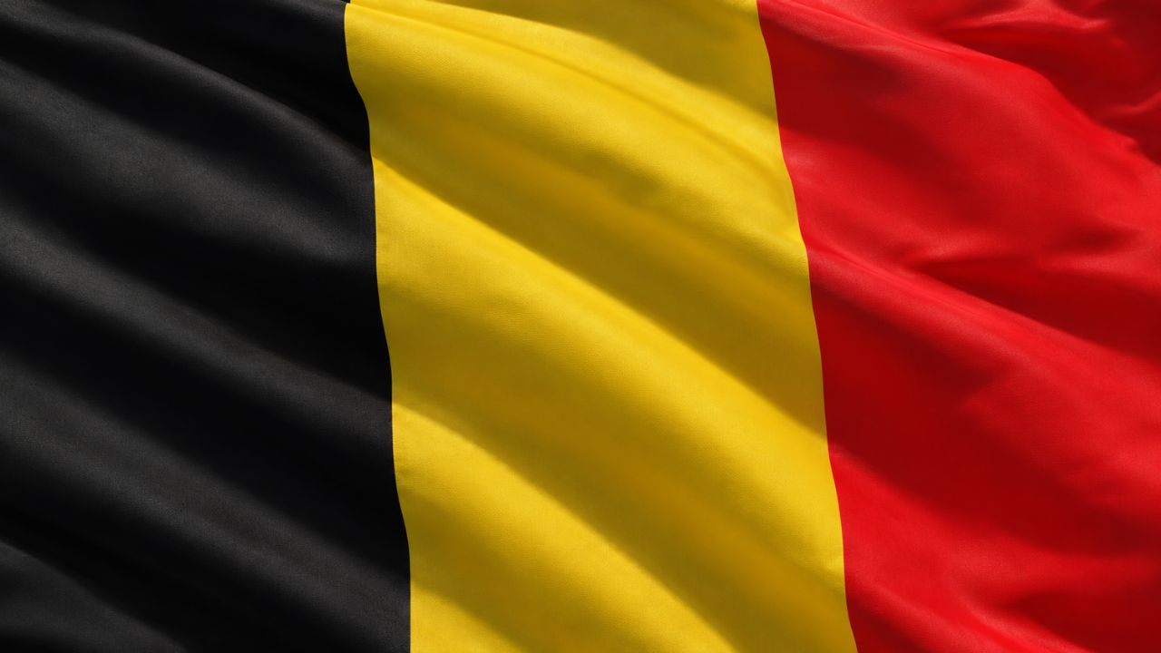 Domain Hosting for Business in Belgium