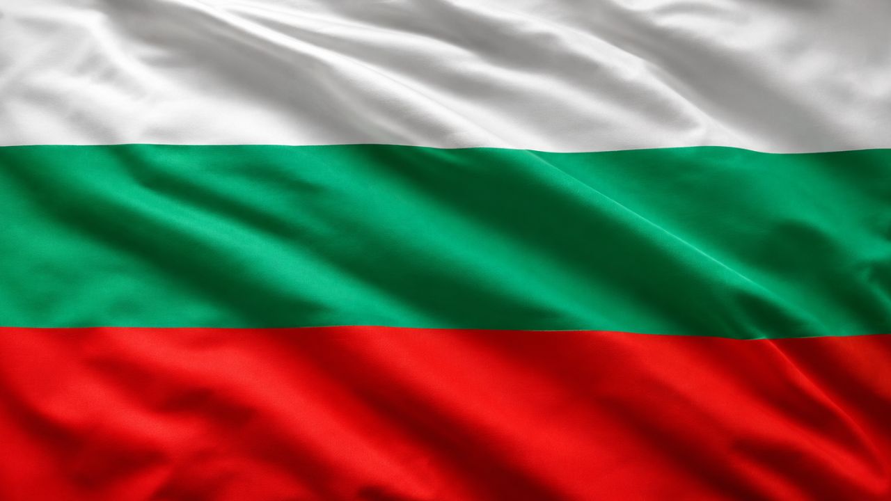 Domain Hosting for Business in Bulgaria