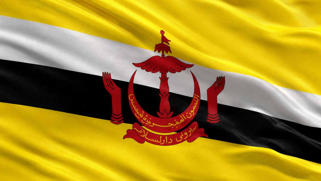 Domain Hosting for Business in Brunei