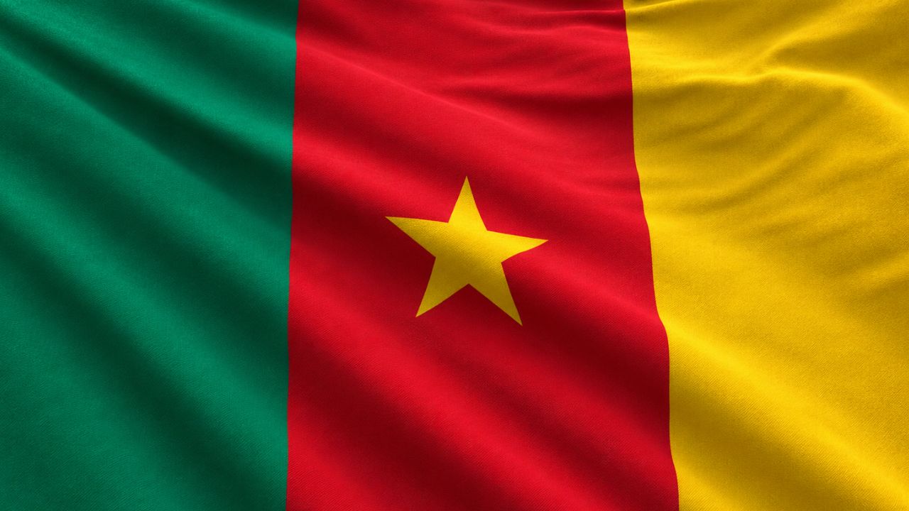 Domain Hosting for Business in Cameroon