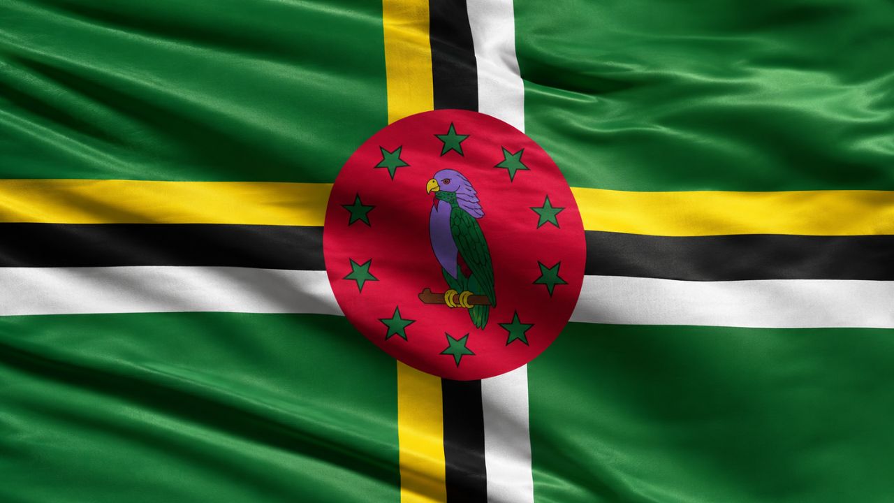 Domain Hosting for Business in Dominica