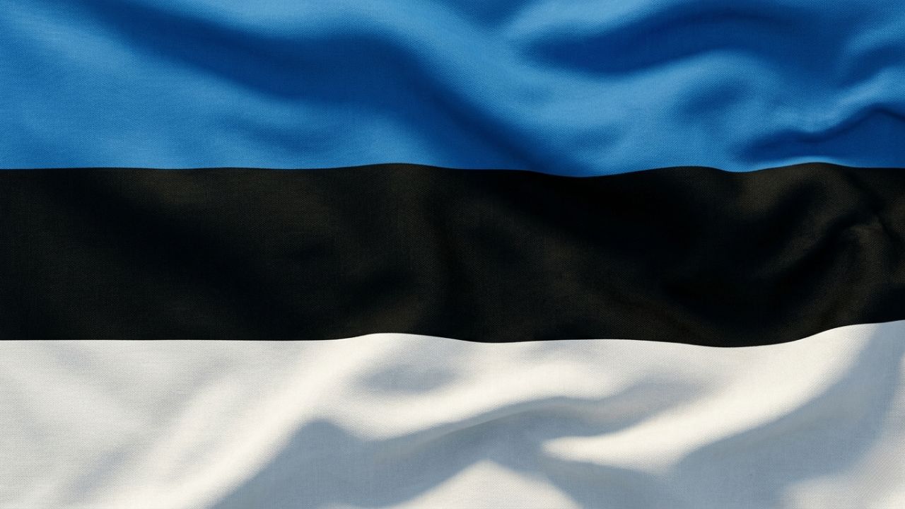 Domain Hosting for Business in Estonia
