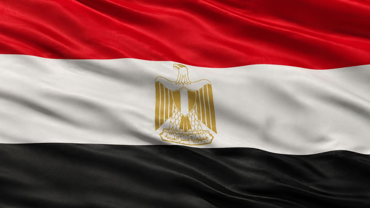 Domain Hosting for Business in Egypt