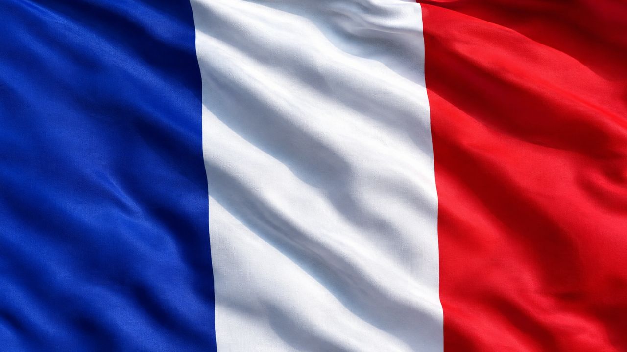 Domain Hosting for Business in France