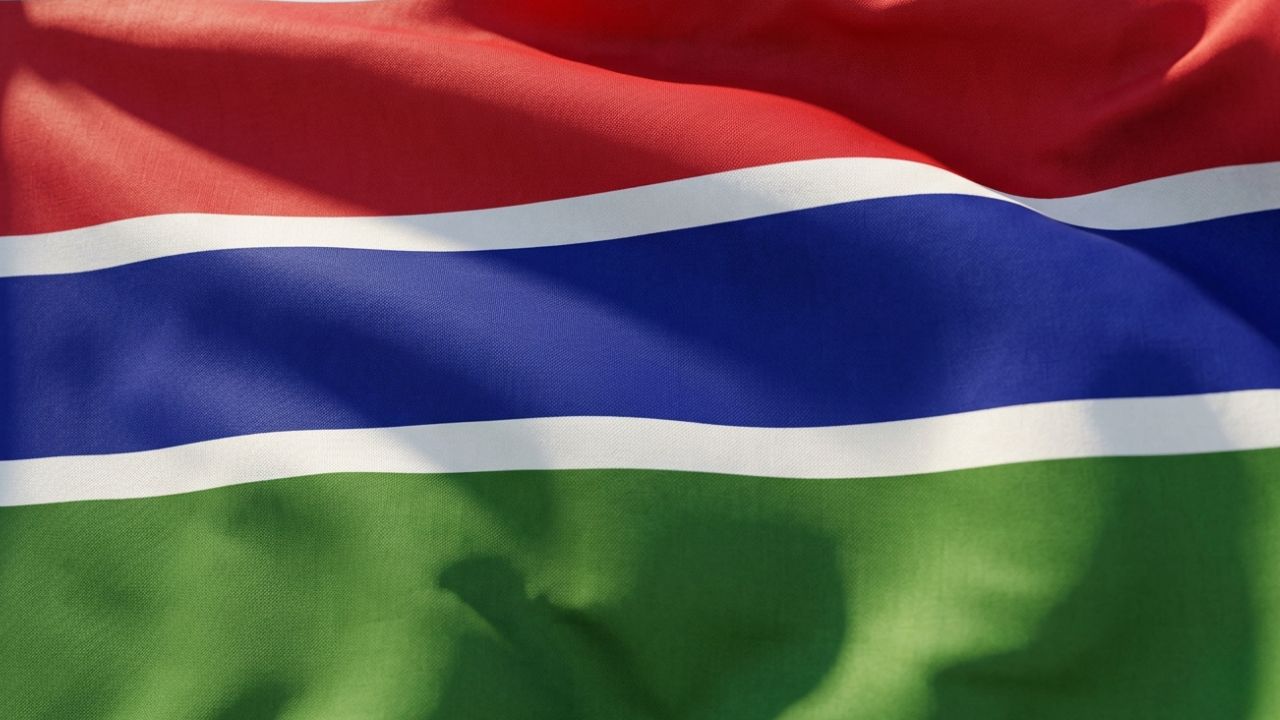 Domain Hosting for Business in Gambia