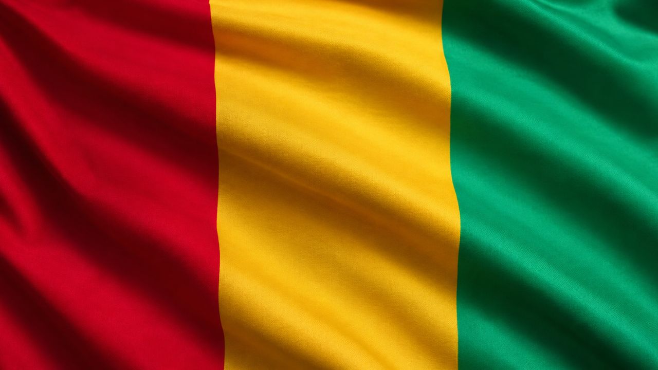 Domain Hosting for Business in Guinea