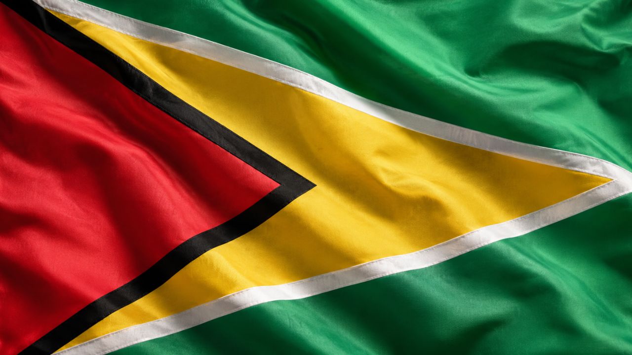 Domain Hosting for Business in Guyana