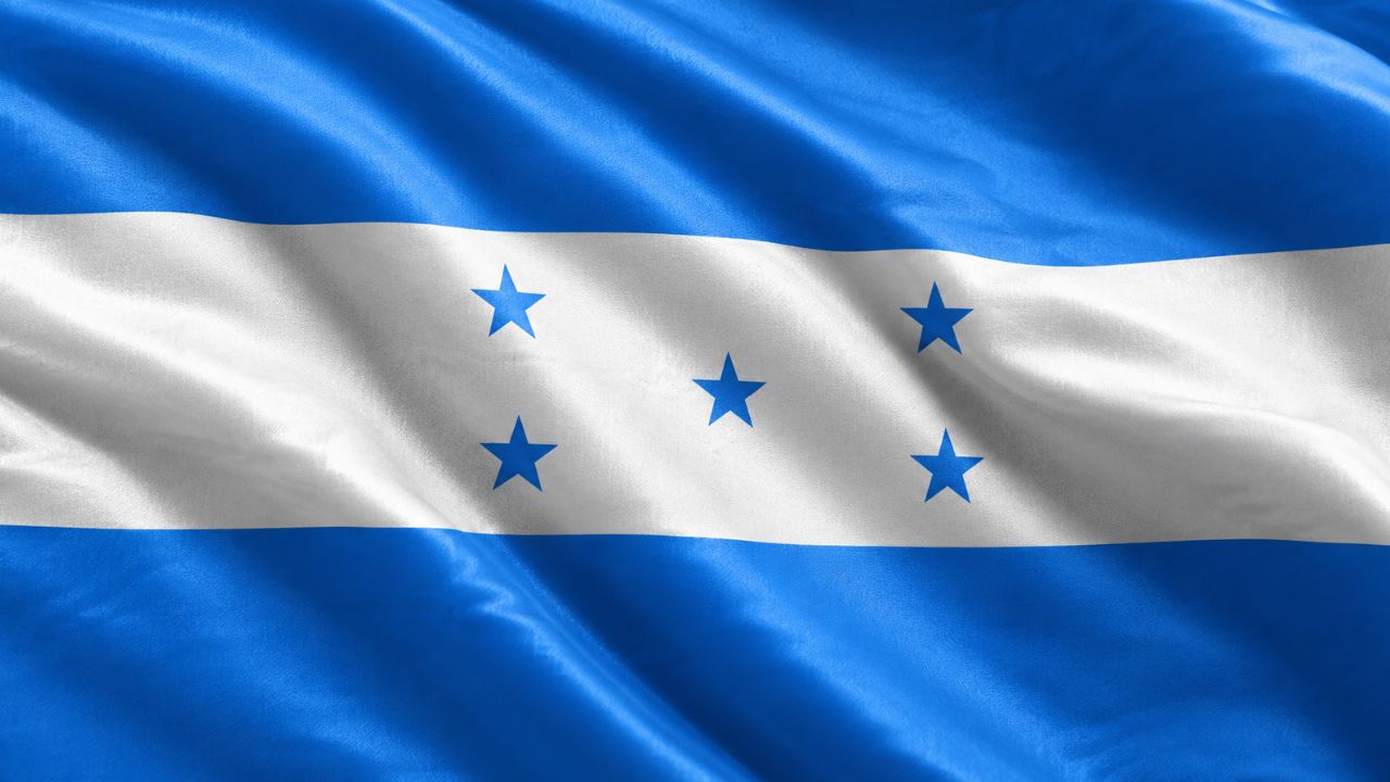 Domain Hosting for Business in Honduras