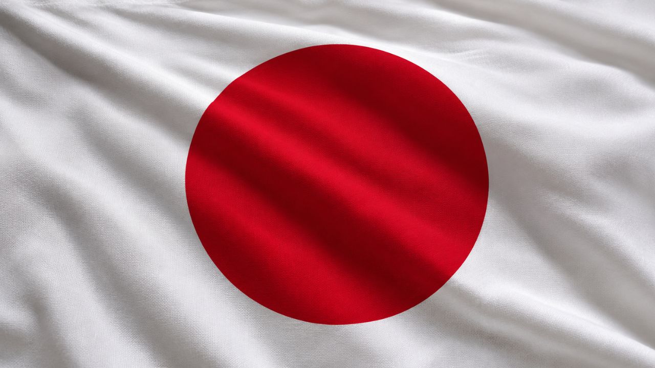 Domain Hosting for Business in Japan