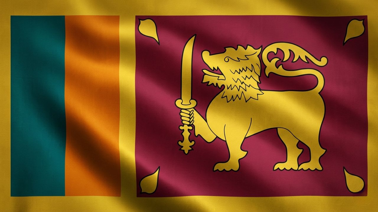 Domain Hosting for Business in Sri Lanka