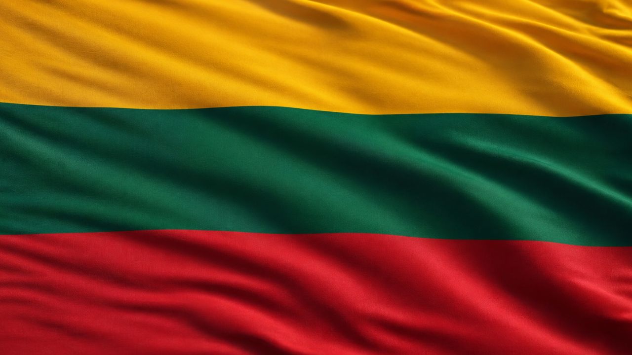 Domain Hosting for Business in Lithuania