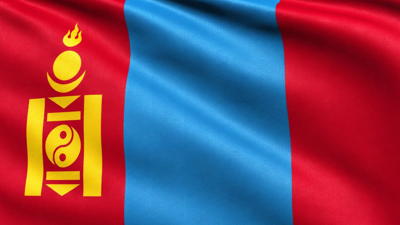Domain Hosting for Business in Mongolia