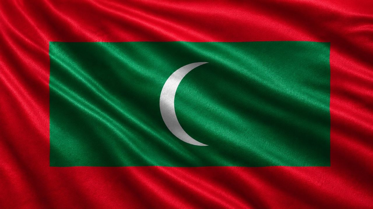 Domain Hosting for Business in Maldives