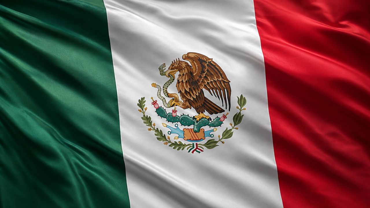 Domain Hosting for Business in Mexico