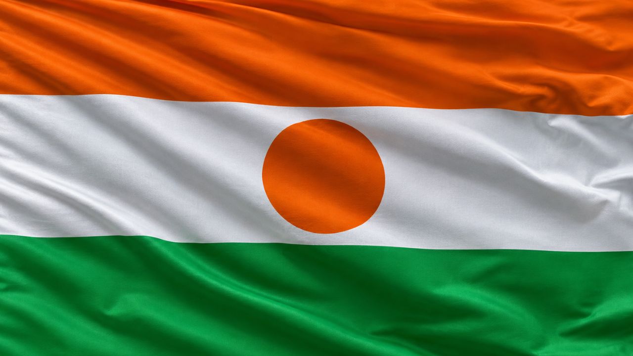 Domain Hosting for Business in Niger