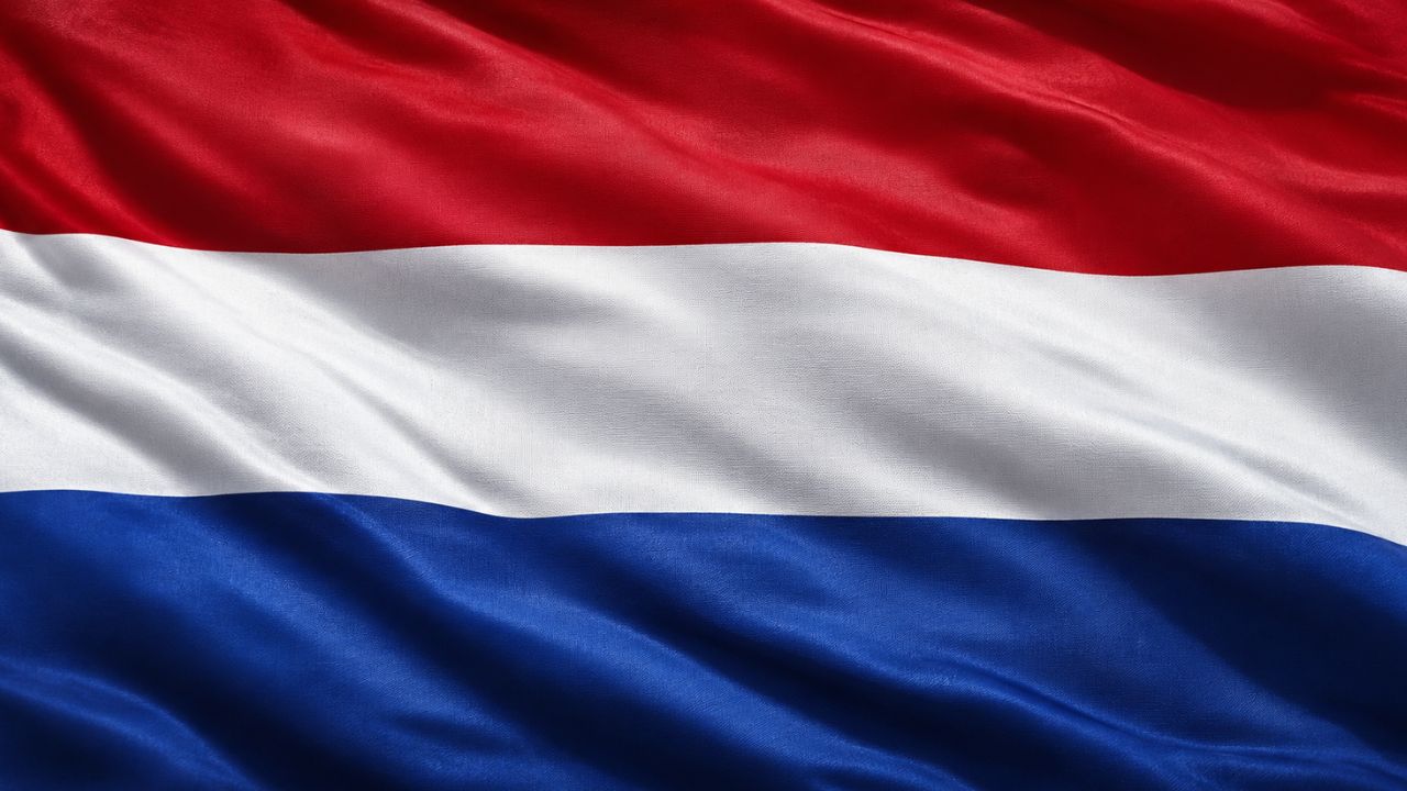 Domain Hosting for Business in Netherlands
