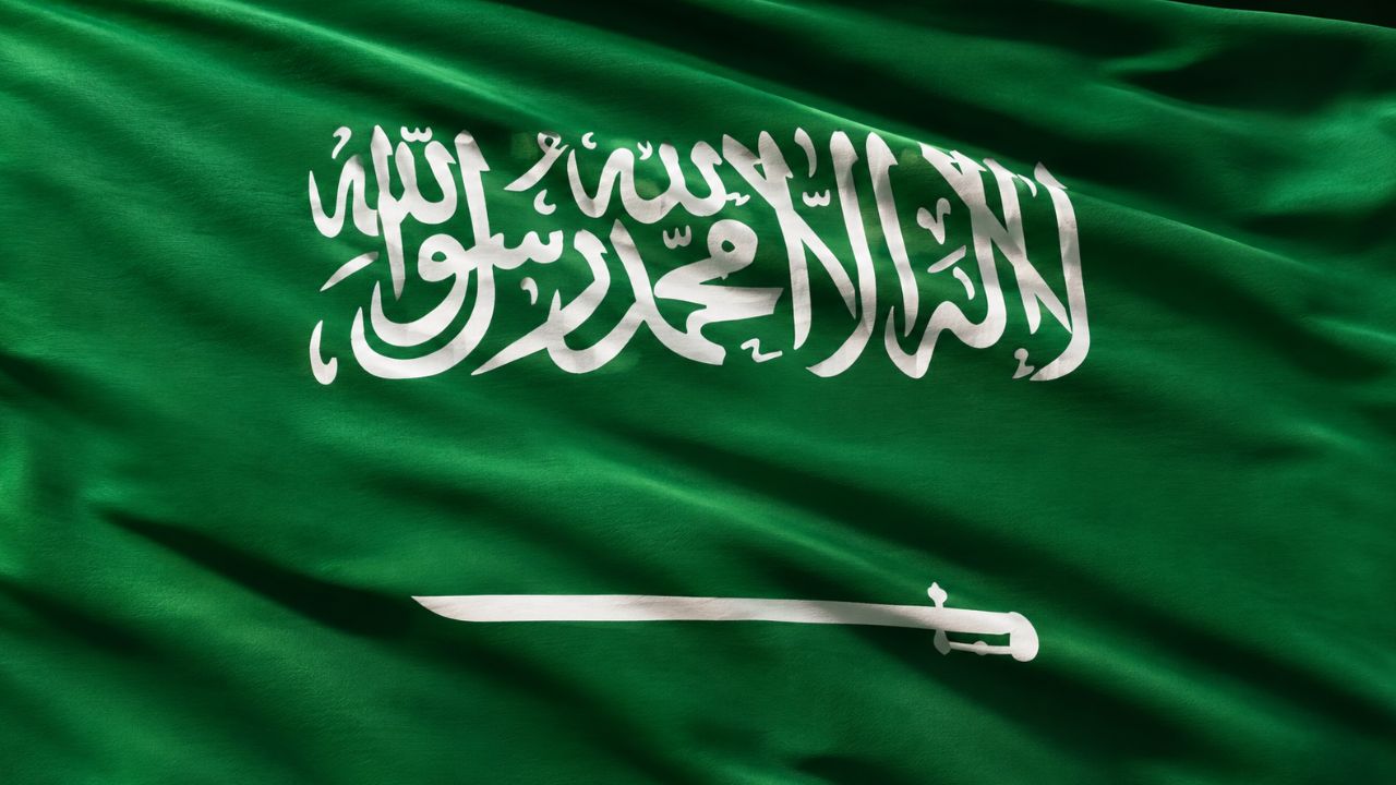 Domain Hosting for Business in Saudi Arabia