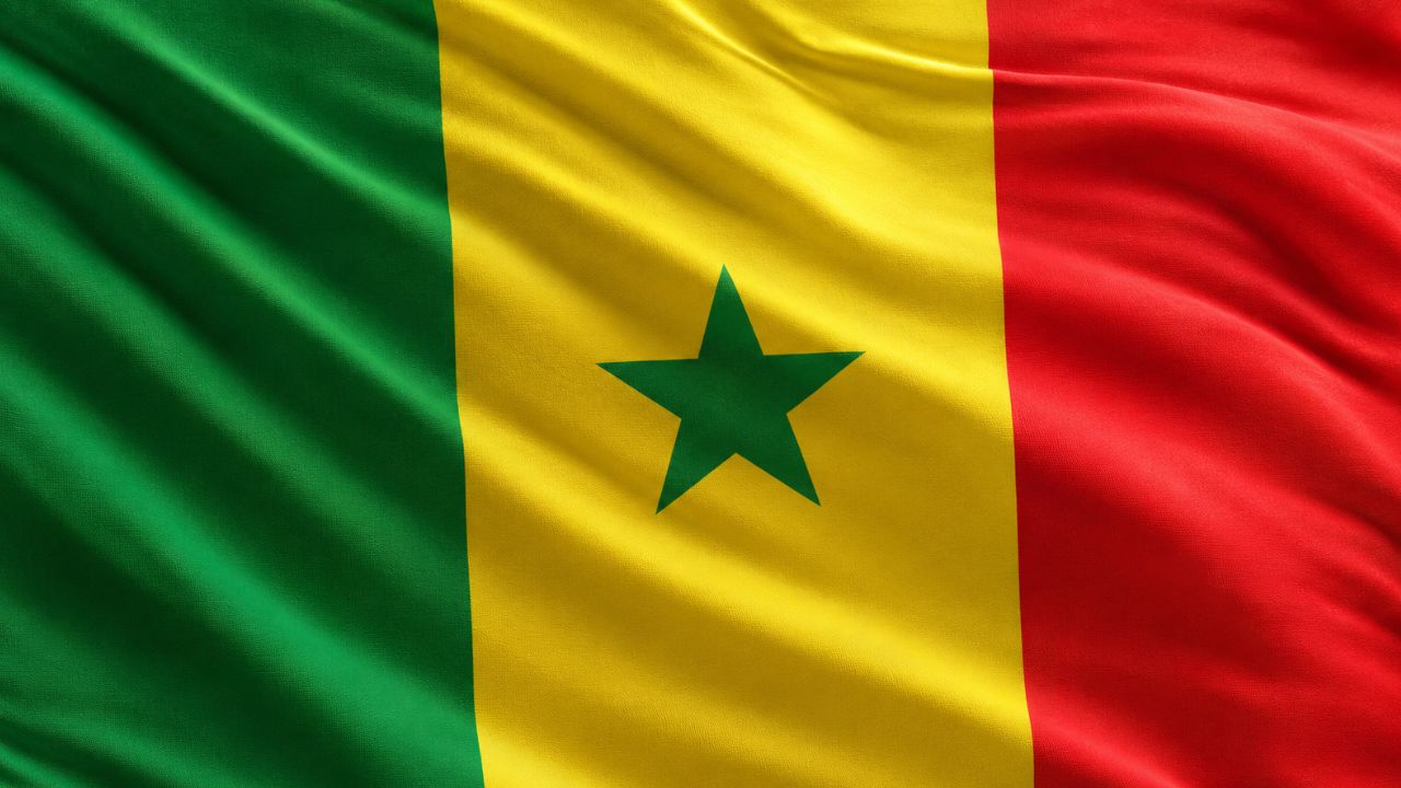 Domain Hosting for Business in Senegal