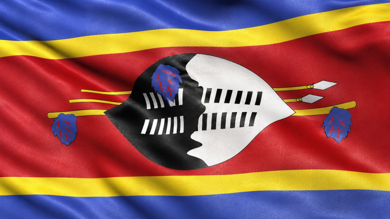 Domain Hosting for Business in Eswatini