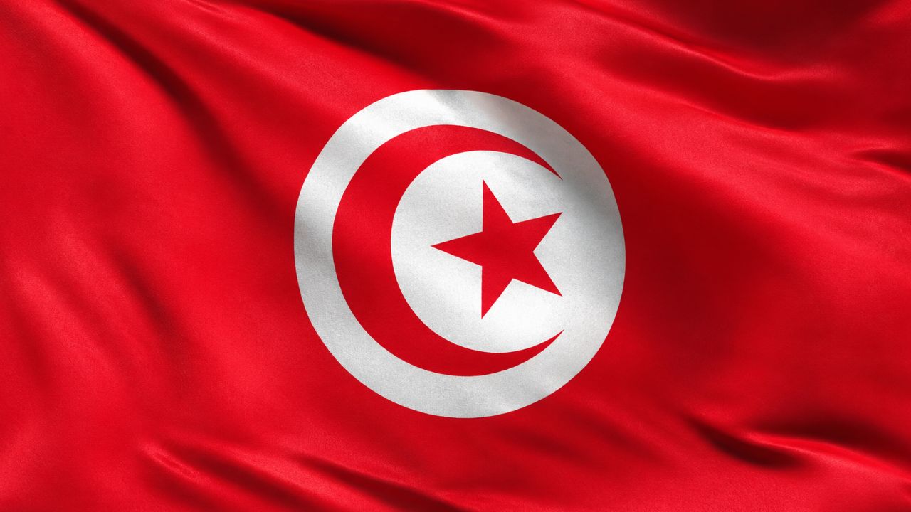 Domain Hosting for Business in Tunisia