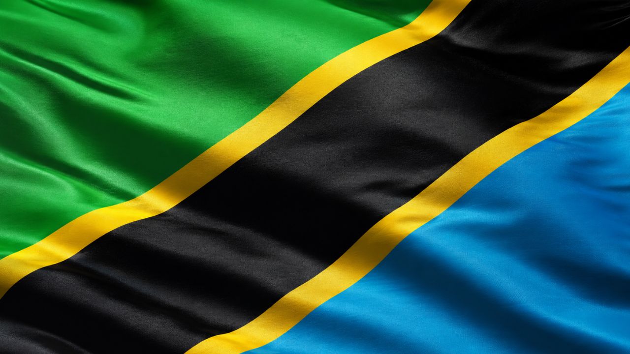 Domain Hosting for Business in Tanzania